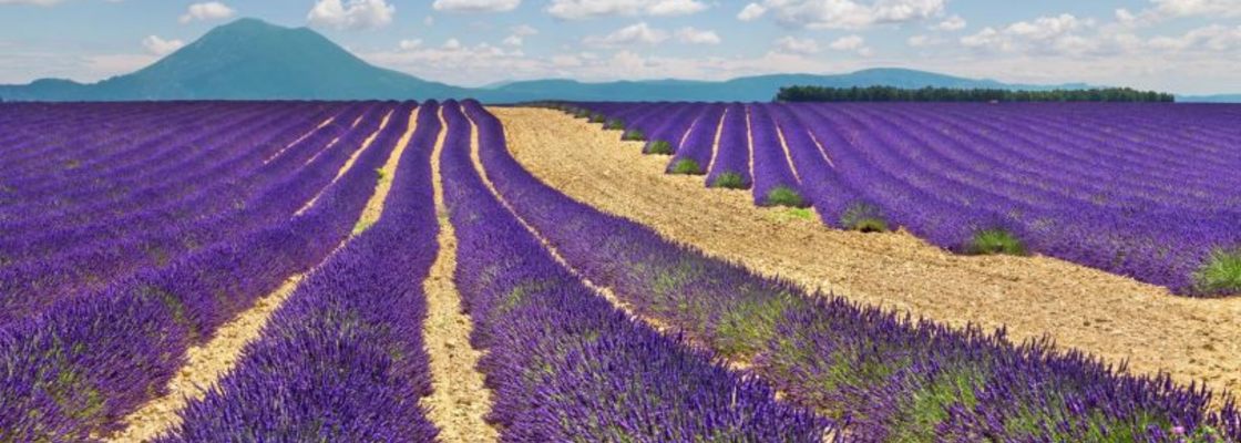 Main 8ffb7c73698c16d66e978e9373a8ad21