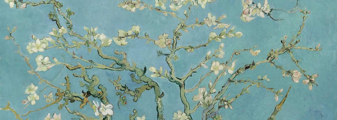 Main %d1%86%d0%b2%d0%b5%d1%82%d1%83%d1%89%d0%b8%d0%b9 %d0%bc%d0%b8%d0%bd%d0%b4%d0%b0%d0%bb%d1%8c