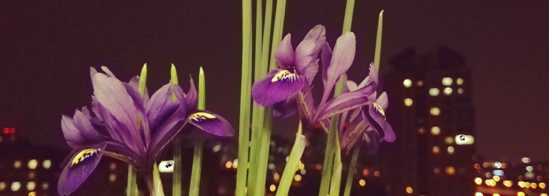 Main img 20170309 222235