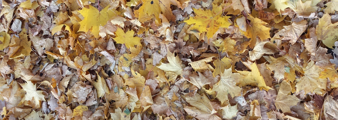 Main 20181017 152824