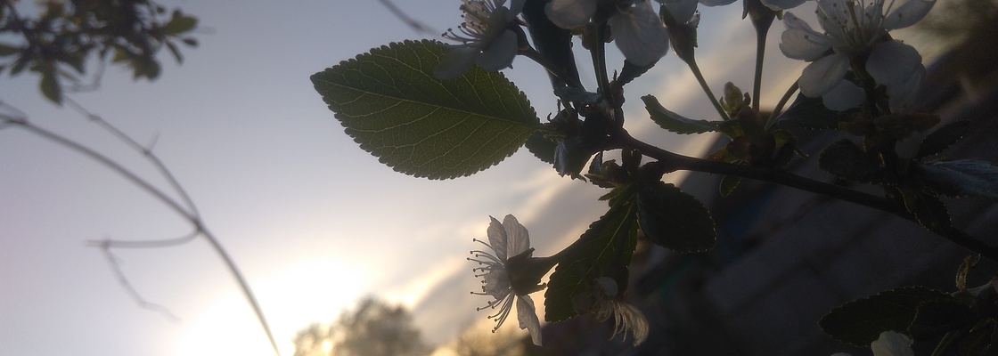 Main img 20190507 195151