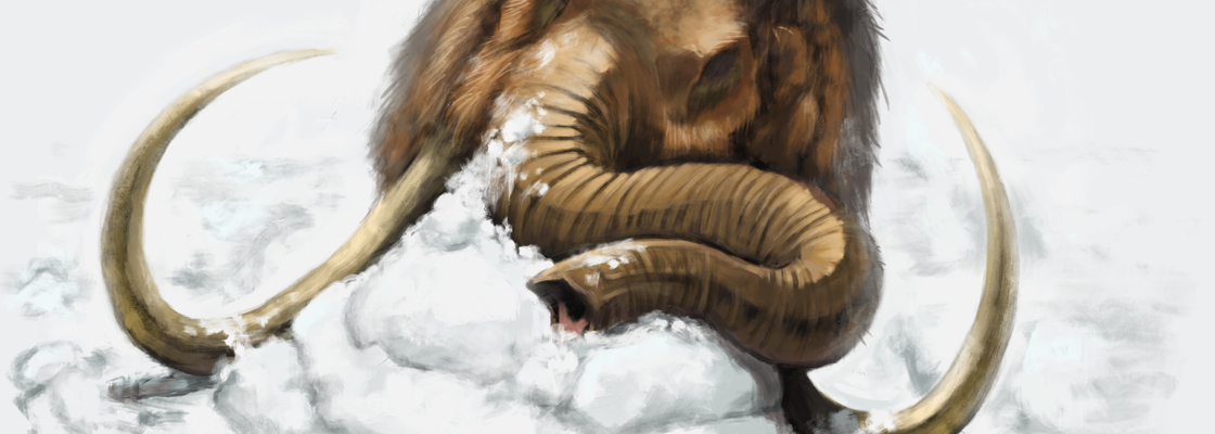 Main mammoth