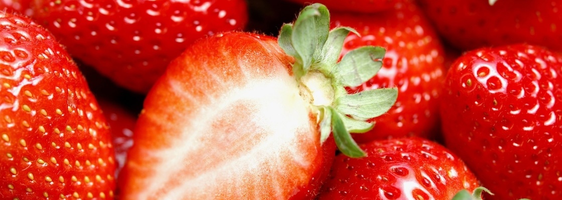 Main elitefon.ru 5438