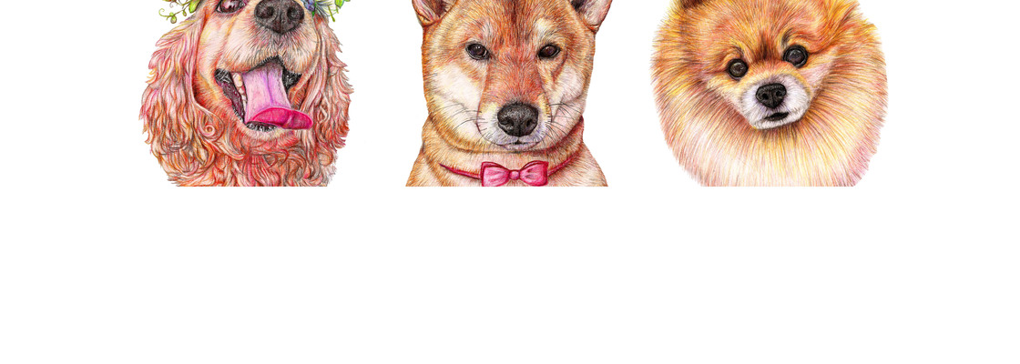 Main %d1%81kj%d0%b4k%d0%bf