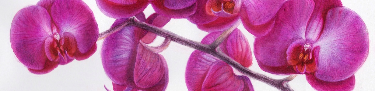 Main 2021 03 02 12 33 00