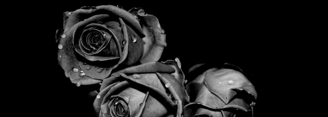 Main img 20200816 100748