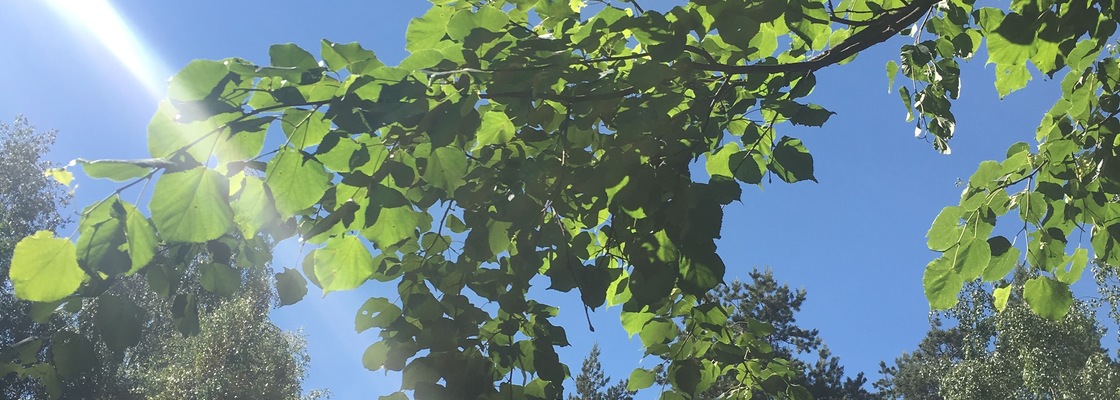 Main 48a30a73 cf12 48e6 a9ca 167b038803f2