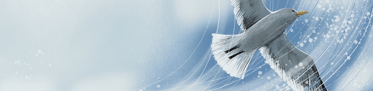 Main %d0%98%d0%bb%d0%bb%d1%8e%d1%81%d1%82%d1%80%d0%b0%d1%86%d0%b8%d1%8f %d0%b1%d0%b5%d0%b7 %d0%bd%d0%b0%d0%b7%d0%b2%d0%b0%d0%bd%d0%b8%d1%8f 12  1 