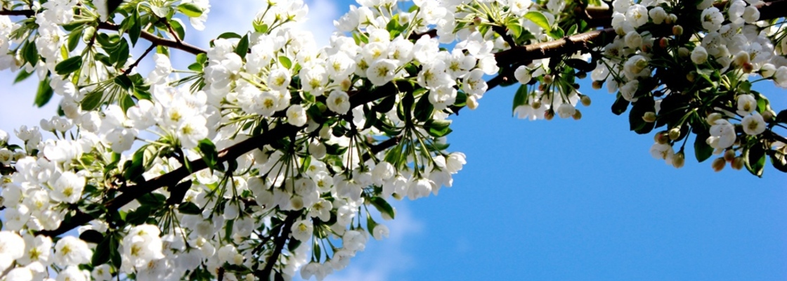 Main image1560415107649