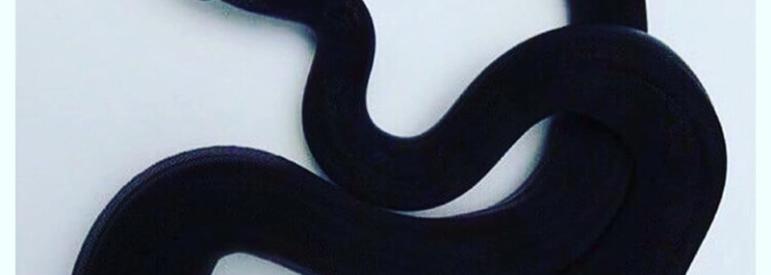 Main img 20190720 203827 803