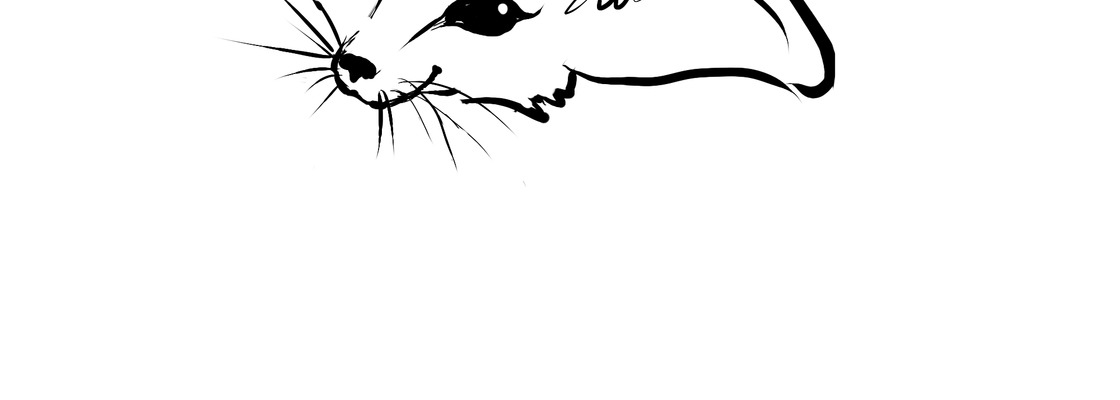 Main %d1%84%d0%b5%d0%bd%d1%8c