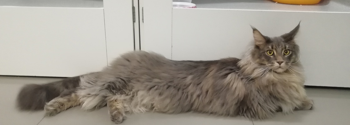 Main img 20190615 175321