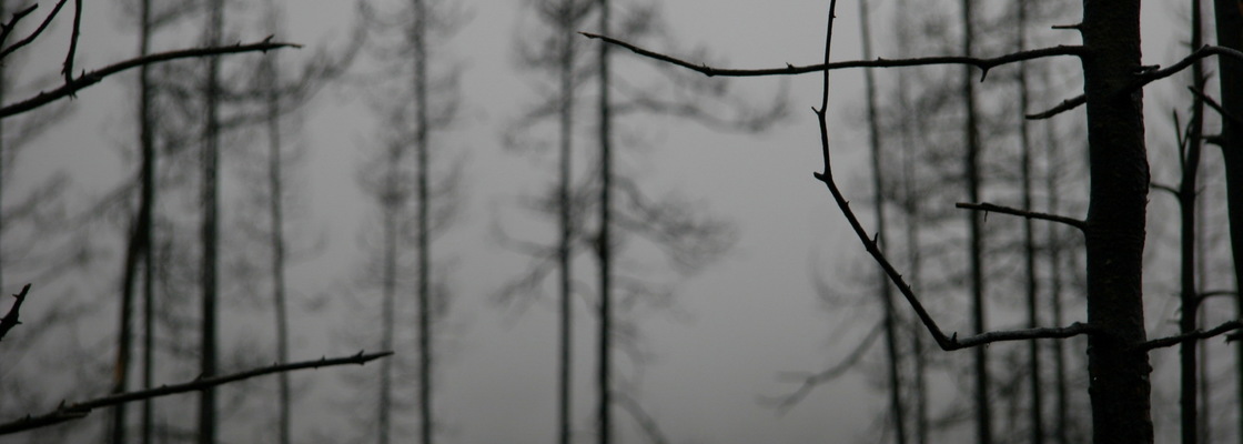 Main 0 eab73 af2e78ab orig