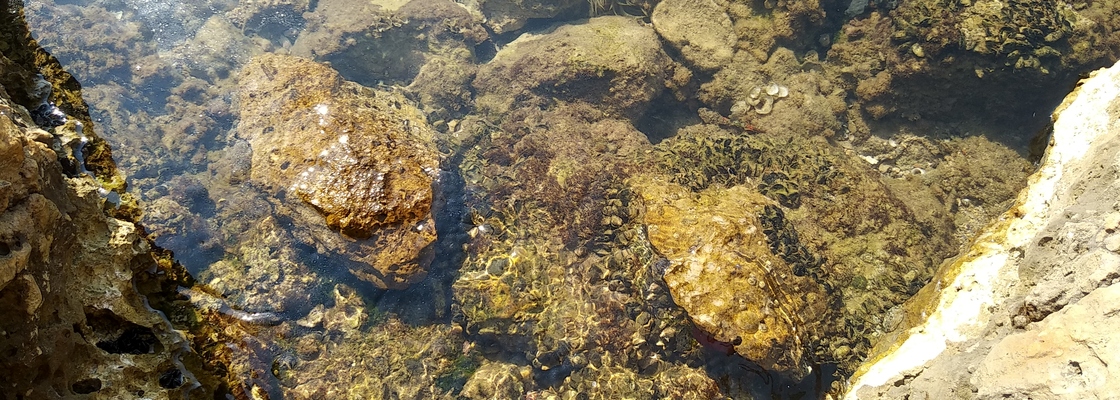 Main img 20190618 114143