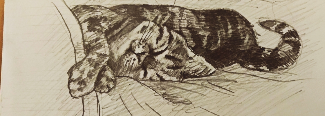 Main cymera 20191113 002659