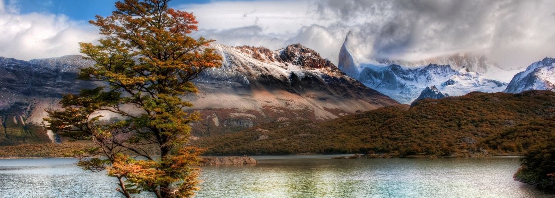 Main nature   mountains   mountain landscape with a tree 042923 