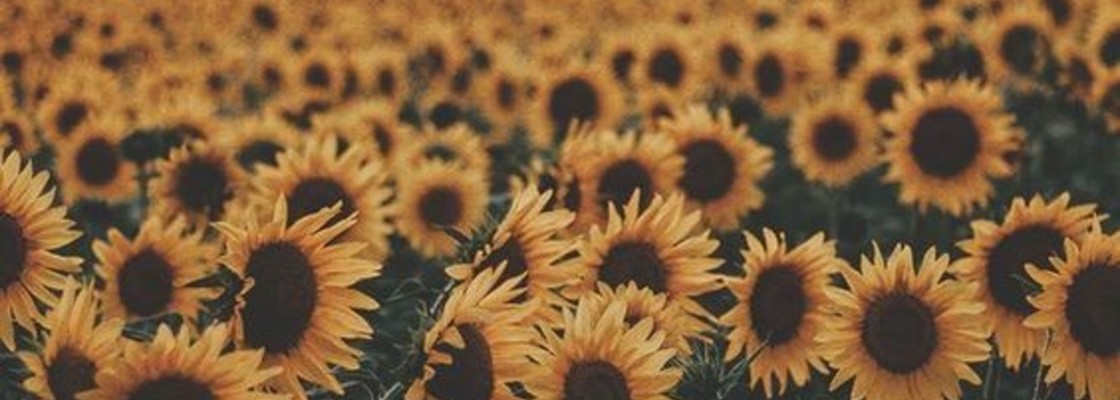 Main 819ecfc7c077922cbb4b10ac3f4d6bac