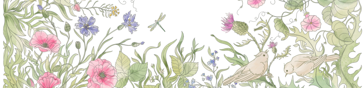 Main illusttators 1230x300  2 