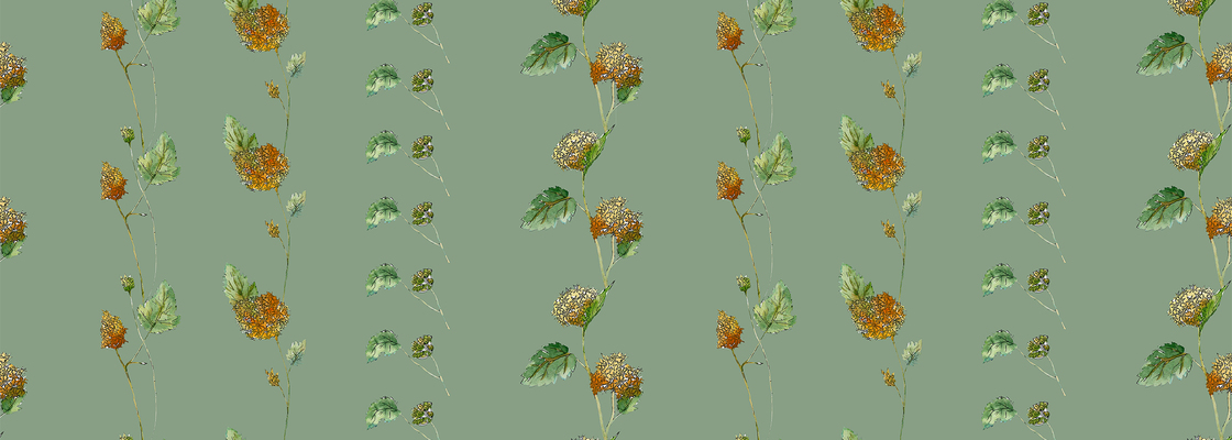 Main %d0%b6%d0%b5%d0%bb%d1%82%d1%8b%d0%b5 %d1%86%d0%b2%d0%b5%d1%82%d1%8b