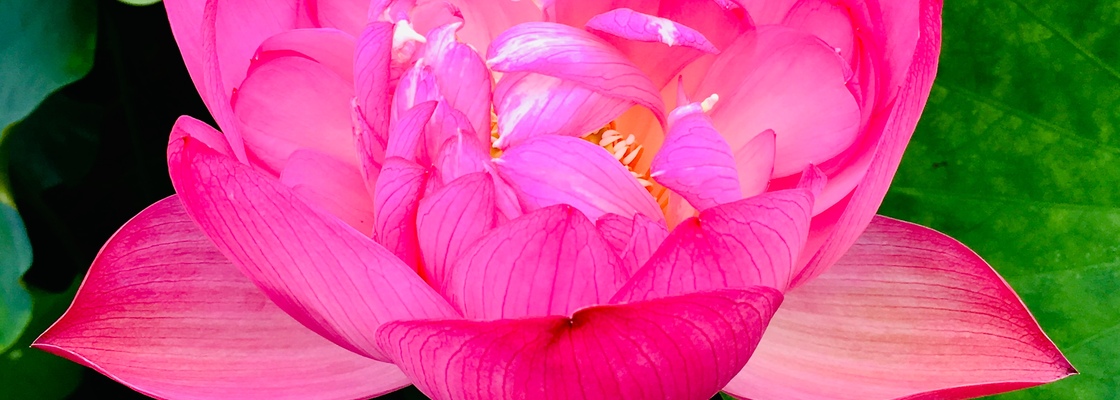 Main 77dd469a d14a 4171 9d76 3f7a3057bb61