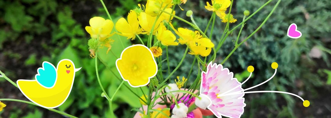 Main %d1%84%d0%be%d1%82%d0%be %d1%86%d0%b2%d0%b5%d1%82%d1%8b