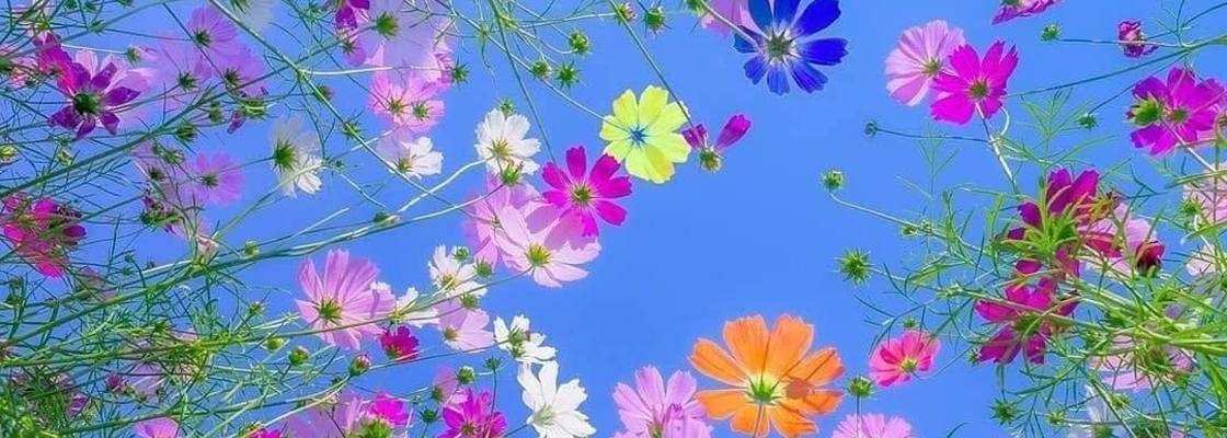 Main 120279388 3484874898200892 5545477861919337662 o