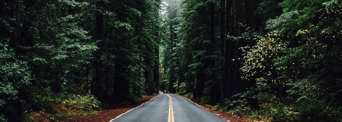 Main img 20200626 105818 568