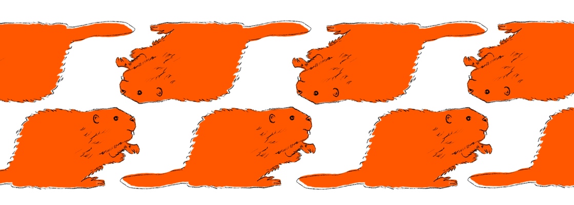 Main 8eb8622b be56 4a47 a55f 9c1c29edd7ac