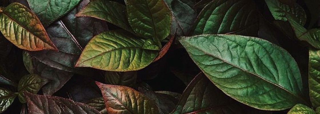 Main 8a6a41b0b4cf06587fdc8d92cd99d35d