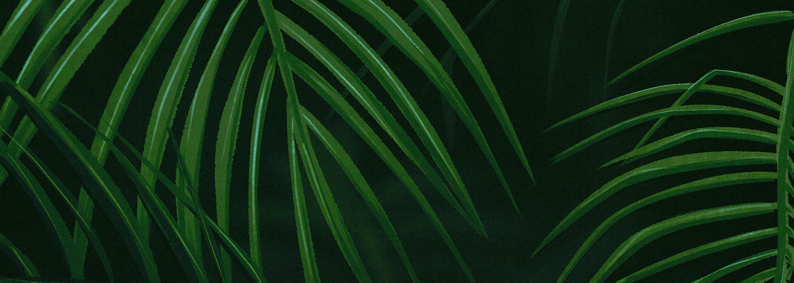 Main %d1%82%d1%80%d0%bf%d0%b8%d1%87%d0%b5%d1%81%d0%ba%d0%b8%d0%b5 %d0%bb%d0%b8%d1%81%d1%82%d1%8c%d1%8f