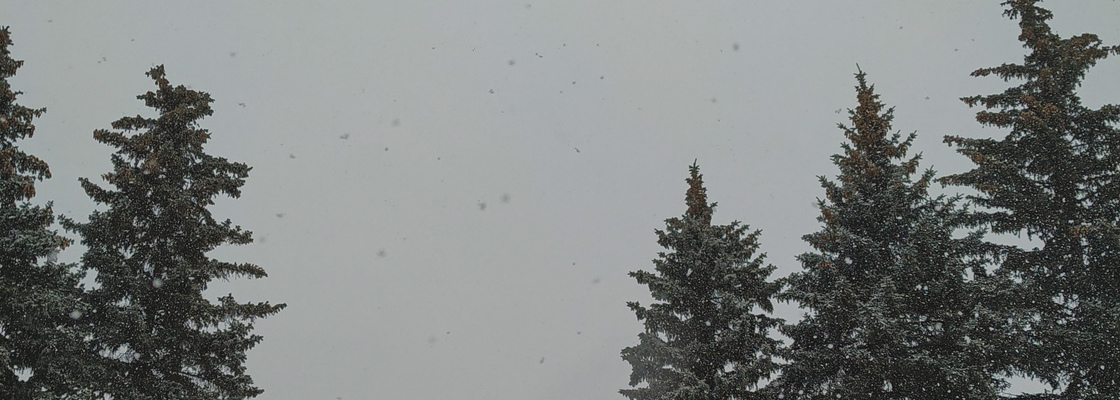 Main img 20200226 141949