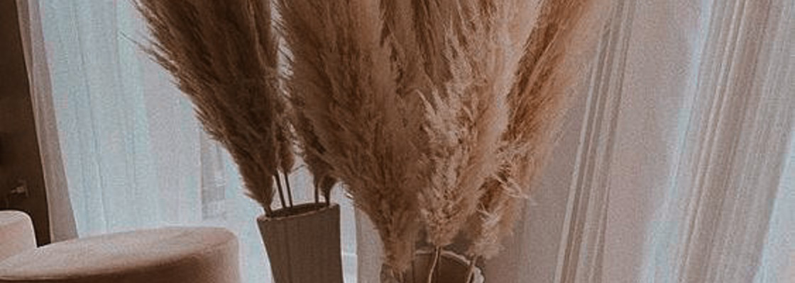 Main ee8185ff 76fa 4b23 8c34 daa316775172