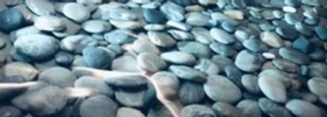 Main 468943cd 7923 4b51 89db 8cf06122efcc