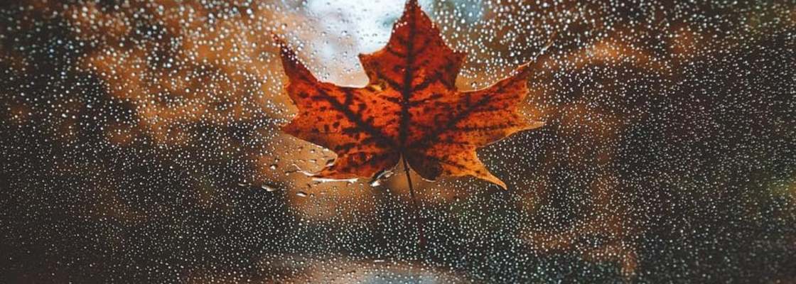 Main img 20201113 160719 739