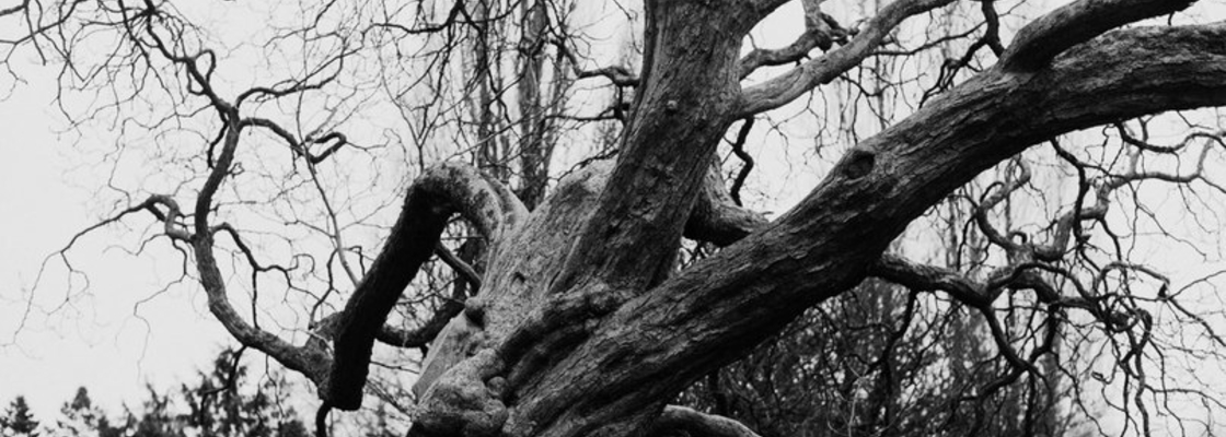 Main vk saved photo  635841468745053967