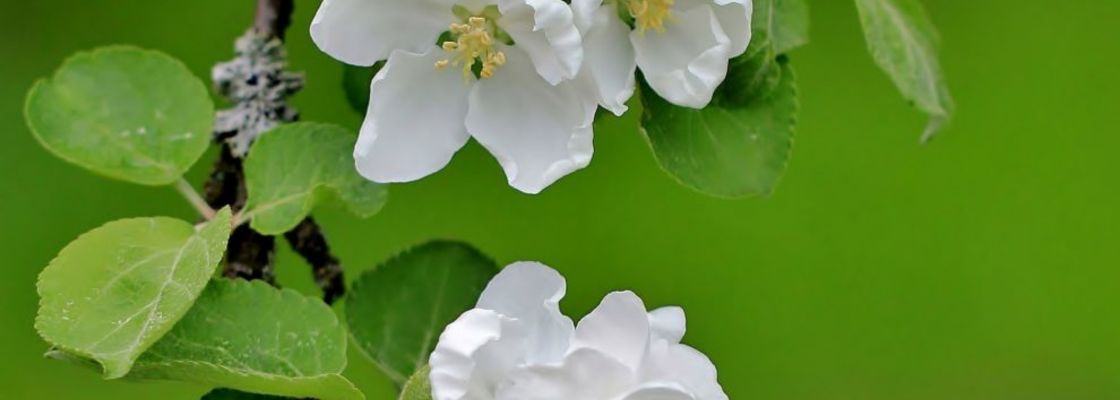 Main 2020 05 11 16 47 19