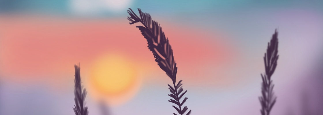 Main ee15c352 5ff7 40b5 ad75 c5daa9588923