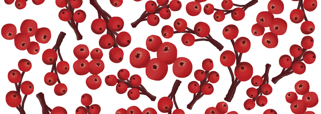 Main %d1%8f%d0%b3%d0%be%d0%b4%d0%bd%d1%8b%d0%b9 %d0%bf%d0%b0%d1%82%d1%82%d0%b5%d1%80%d0%bd