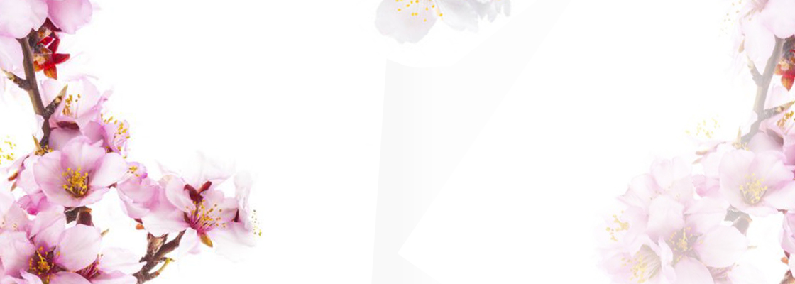 Main dnevnaja sivorotka66