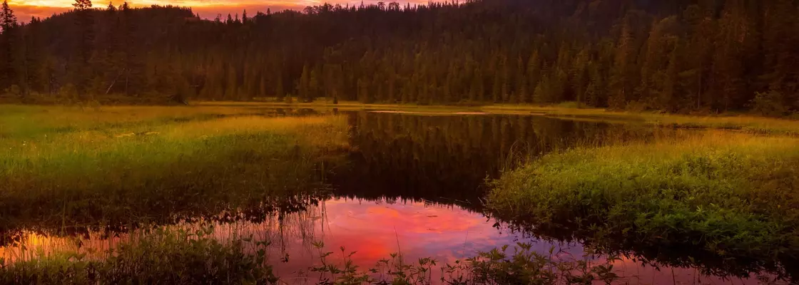 Main 2d6dc0cd 204e 4230 8b5f d2a5e87365e1