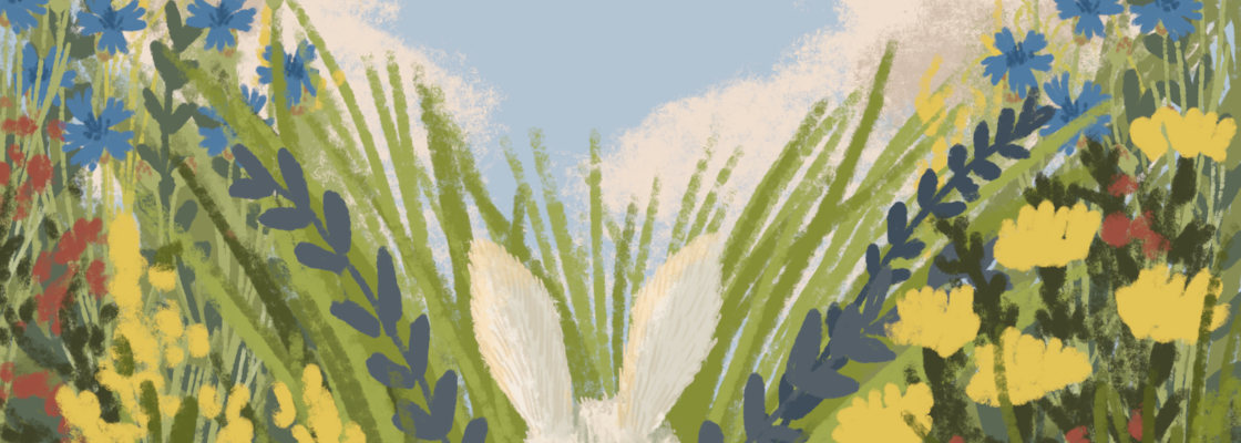 Main %d0%bd%d0%be%d0%b2%d1%8b%d0%b9 %d0%b4%d1%80%d1%83%d0%b3 1