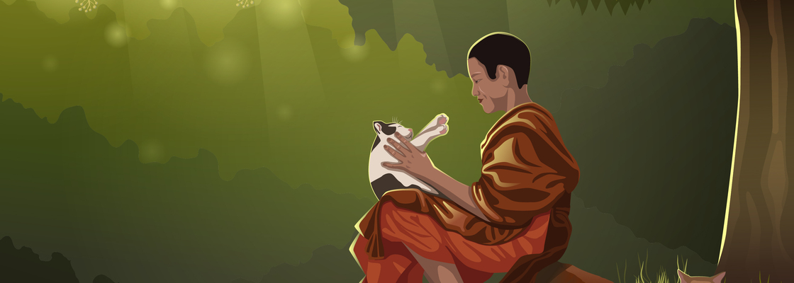 Main cat and buddha