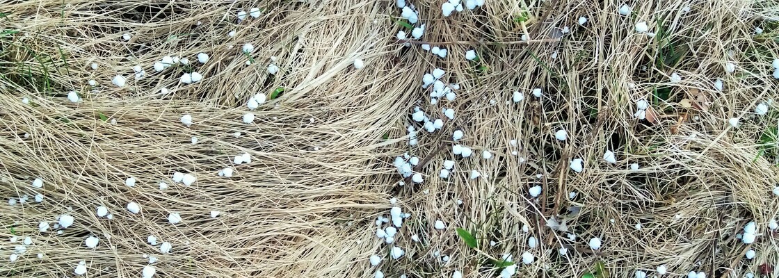 Main 20200415 181541