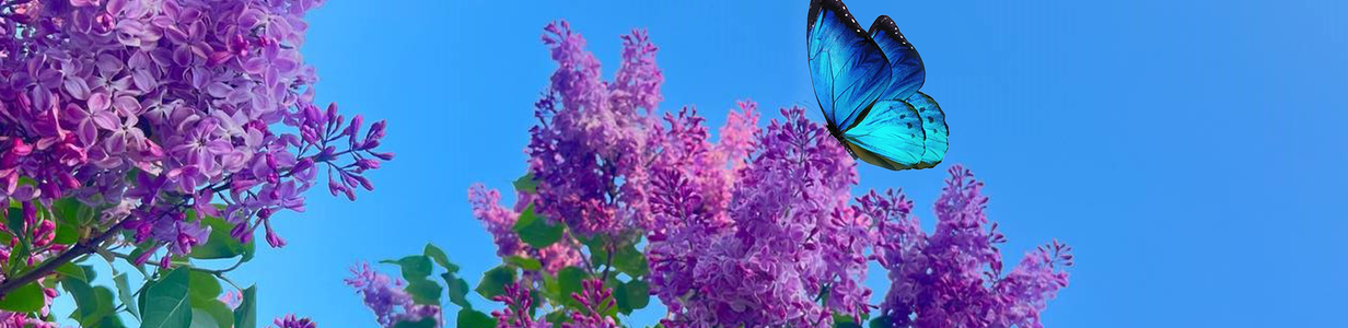 Main img 20250509 184113 454