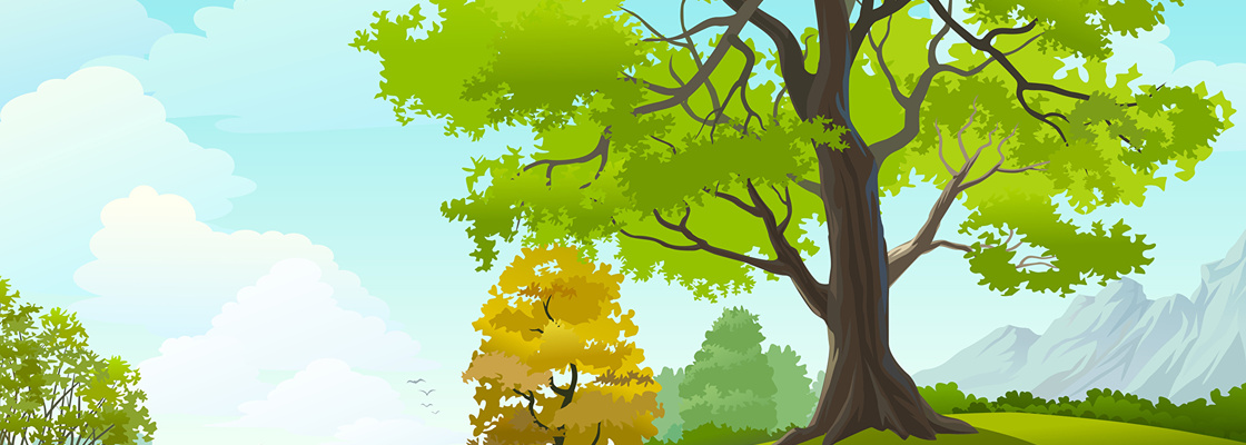 Main 356002 admin 1920x1200