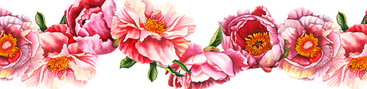 Main seamless border peony