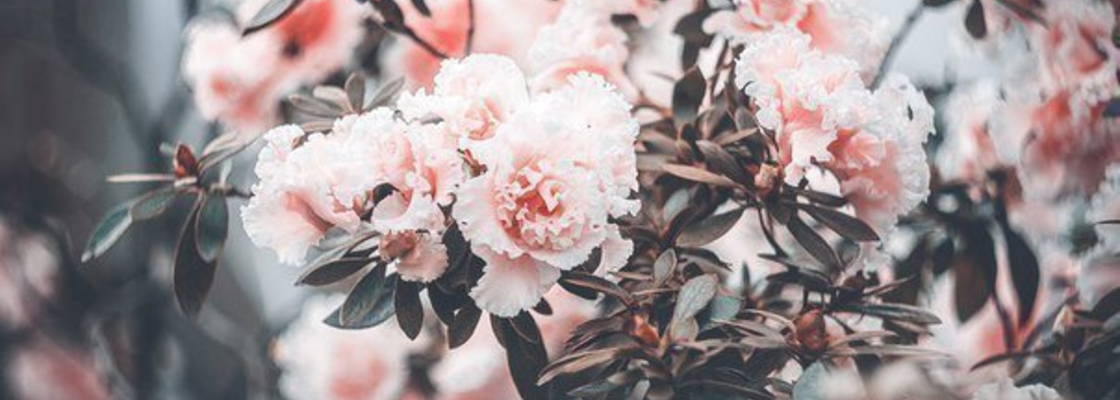 Main %d0%b8%d0%b7%d0%be%d0%b1%d1%80%d0%b0%d0%b6%d0%b5%d0%bd%d0%b8%d0%b5 2021 06 06 185404