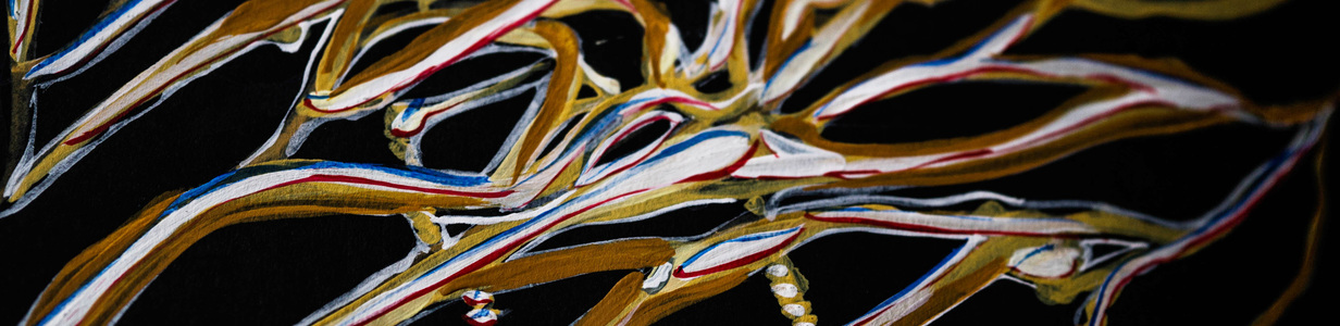 Main dsc06516   %d0%ba%d0%be%d0%bf%d0%b8%d1%8f