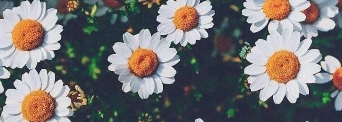 Main 0471f273 dc2c 46fe 94e4 6bd233eee987