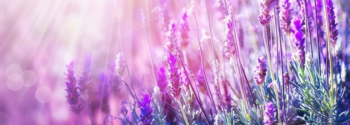 Main 67b0895a cb9e 4632 8217 04aa010e9edd